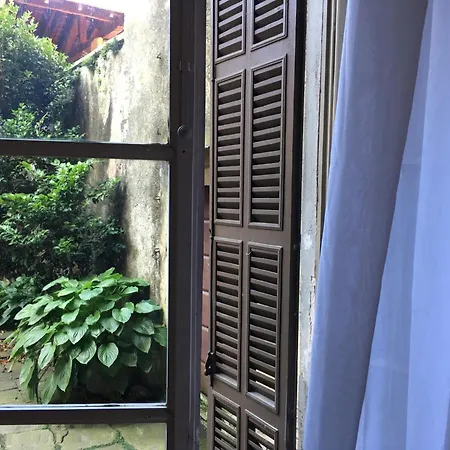 Ortensia Riviera D'orta * Gozzano