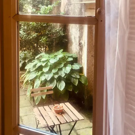 Ortensia Riviera D'orta