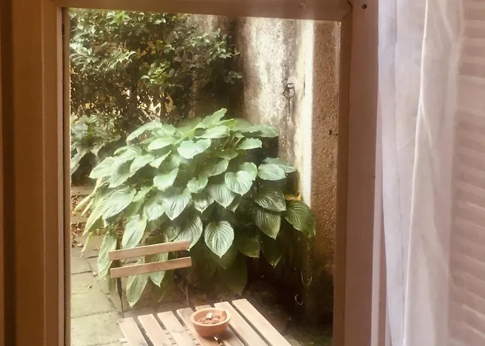 Apartamento Ortensia Riviera D'orta Gozzano